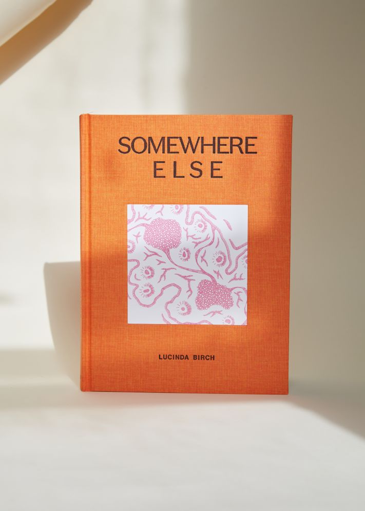 Photo of “Somewhere Else” by Lucinda Birch